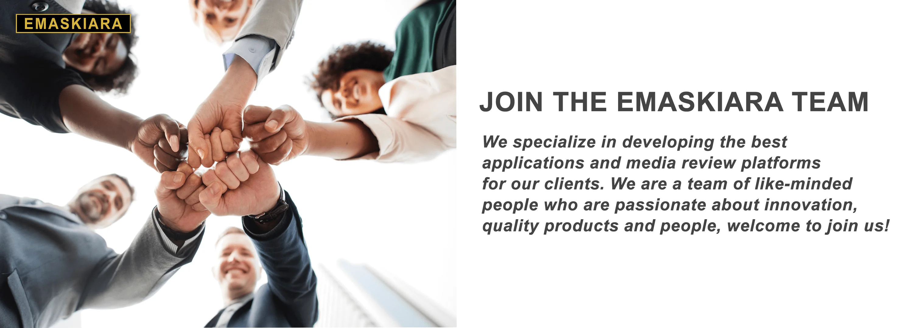 Software Engineering Career